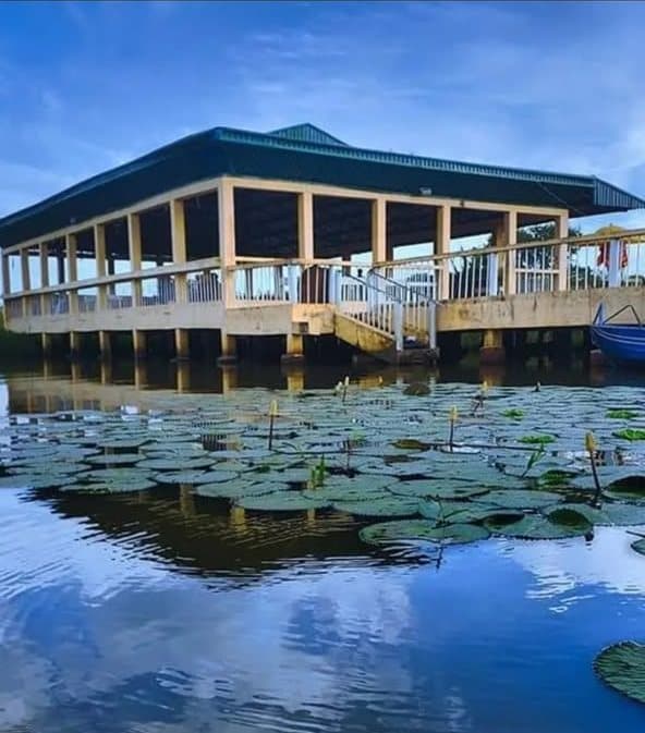 The open lakeside pavilion at Unilorin Dam, above water lilies.